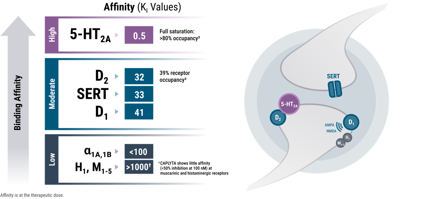 How Is Caplyta Different From Other Antipsychotics Mechanism of Action & Pharmacology | CAPLYTA® (lumateperone)